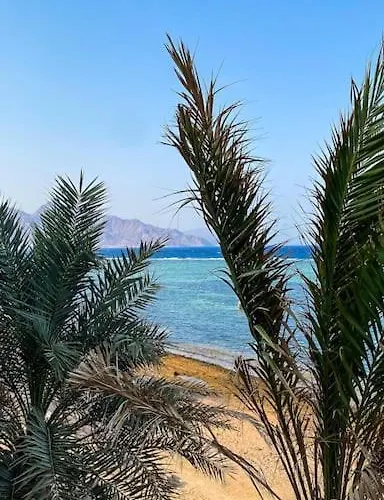 First Line With Panoramic Sea View Balcony دهب